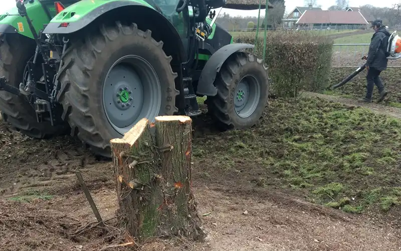 Bedrijfstuinen en openbaar groen