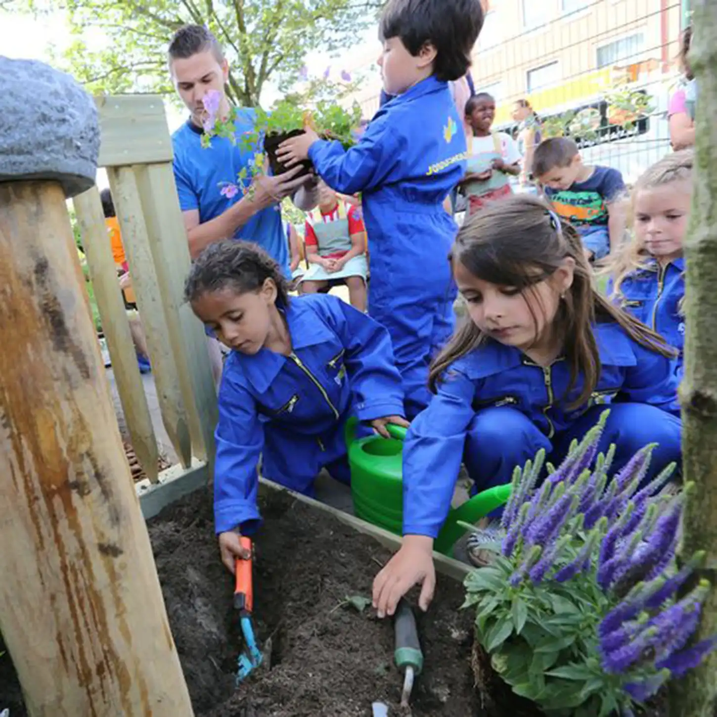 Groen schoolplein