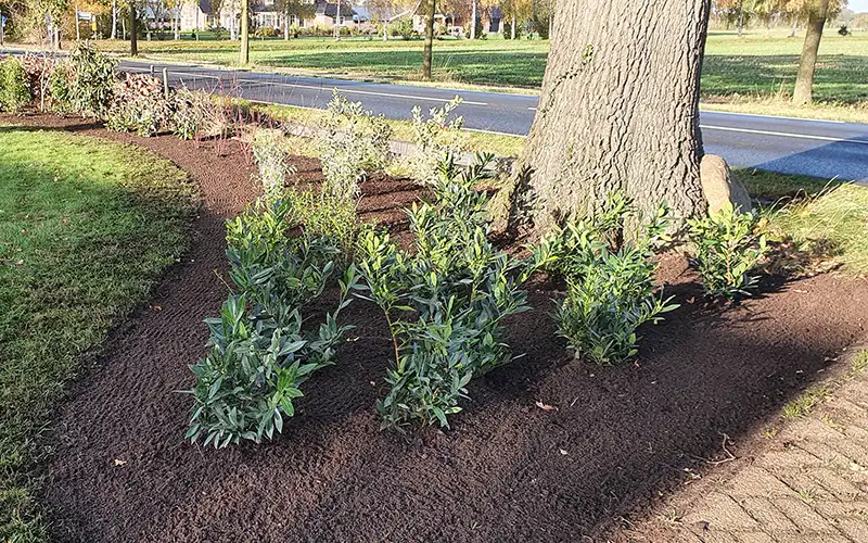 Bedrijfstuinen en openbaar groen Bedrijfstuinen en openbaar groen