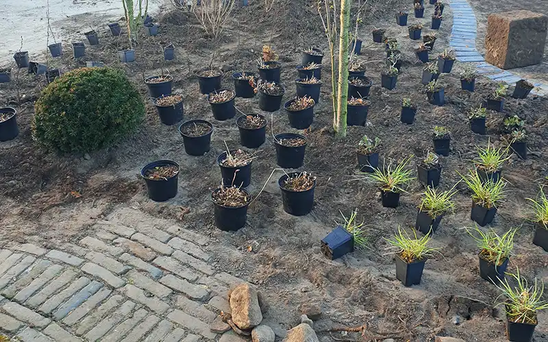 Bedrijfstuinen en openbaar groen Bedrijfstuinen en openbaar groen