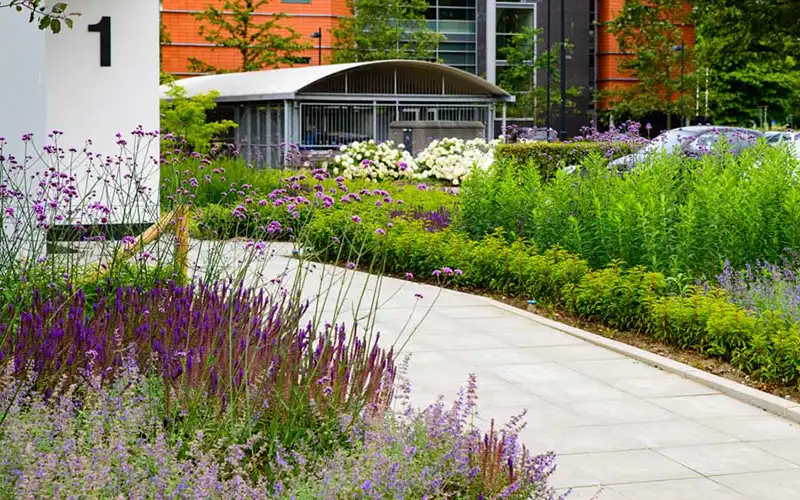 Bedrijfstuinen en openbaar groen Bedrijfstuinen en openbaar groen