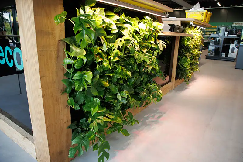 Groene wanden en balies Groene wanden en balies